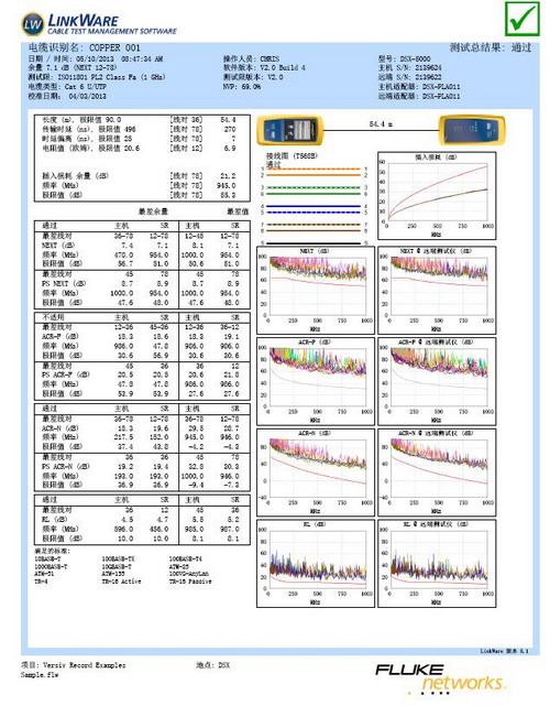 DSX測試報(bào)告樣本.jpg